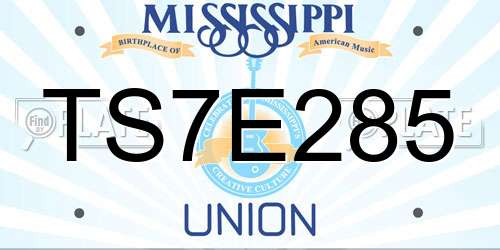 TS7E285 Mississippi License Plate