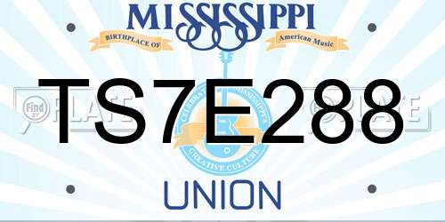 TS7E288 Mississippi License Plate