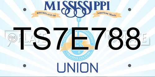 TS7E788 Mississippi License Plate