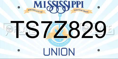TS7Z829 Mississippi License Plate