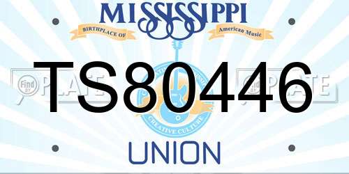TS80446 Mississippi License Plate