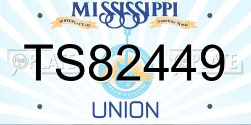 TS82449 Mississippi License Plate