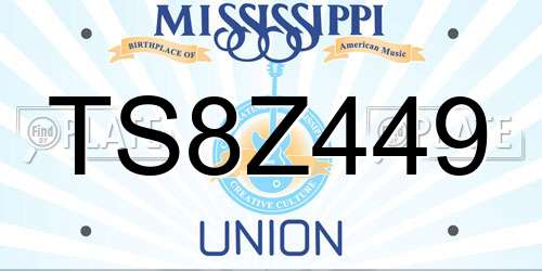 TS8Z449 Mississippi License Plate