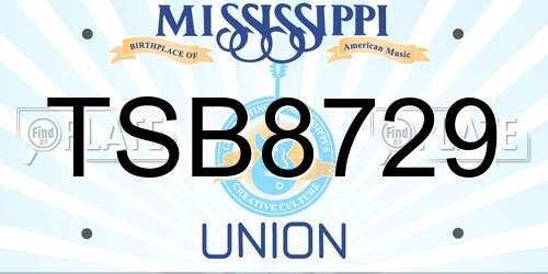 TSB8729 Mississippi License Plate