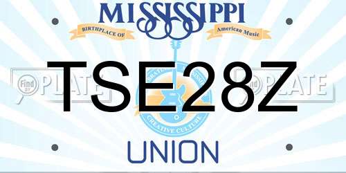 TSE28Z Mississippi License Plate