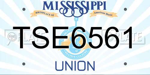 TSE6561 Mississippi License Plate
