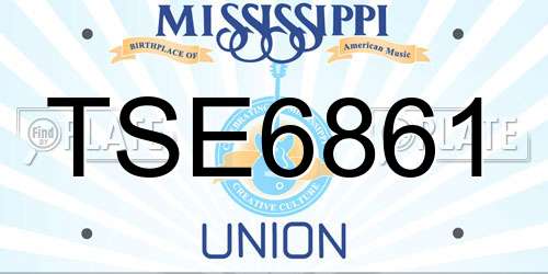 TSE6861 Mississippi License Plate