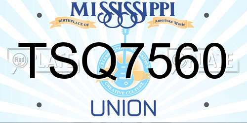 TSQ7560 Mississippi License Plate