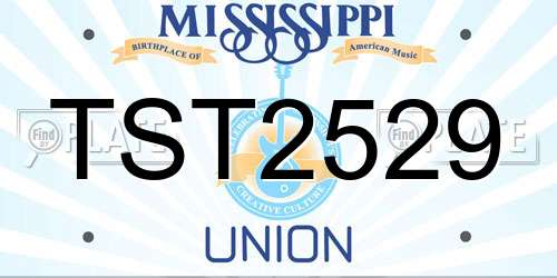 TST2529 Mississippi License Plate