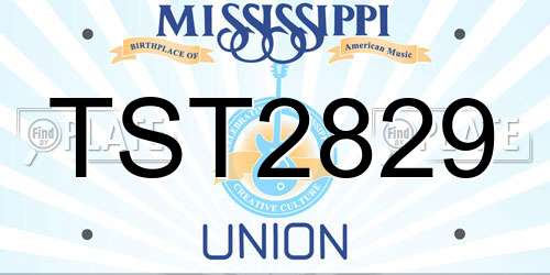 TST2829 Mississippi License Plate
