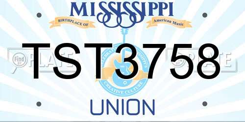 TST3758 Mississippi License Plate
