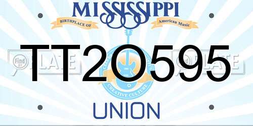 TT2O595 Mississippi License Plate