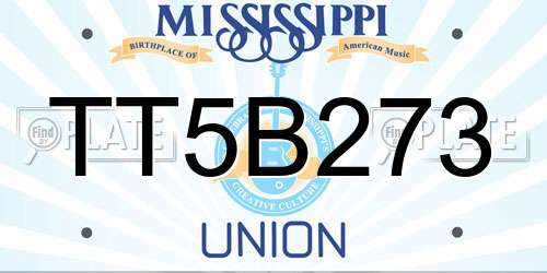 TT5B273 Mississippi License Plate