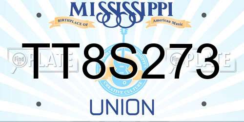 TT8S273 Mississippi License Plate