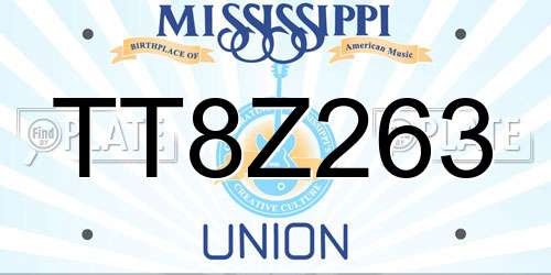 TT8Z263 Mississippi License Plate