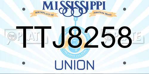 TTJ8258 Mississippi License Plate