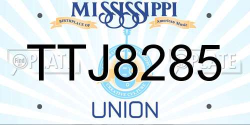 TTJ8285 Mississippi License Plate
