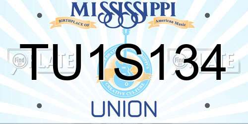 TU1S134 Mississippi License Plate
