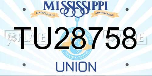 TU28758 Mississippi License Plate