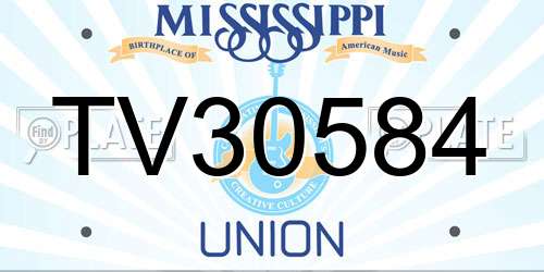 TV30584 Mississippi License Plate