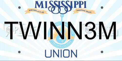 TWINN3M Mississippi License Plate