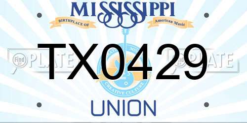 TX0429 Mississippi License Plate