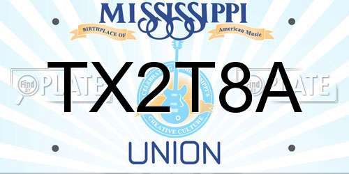 TX2T8A Mississippi License Plate