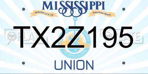 TX2Z195 Mississippi License Plate