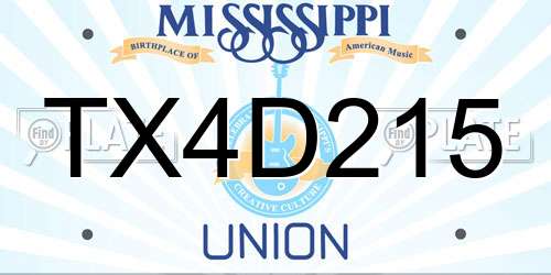 TX4D215 Mississippi License Plate