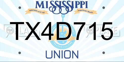 TX4D715 Mississippi License Plate