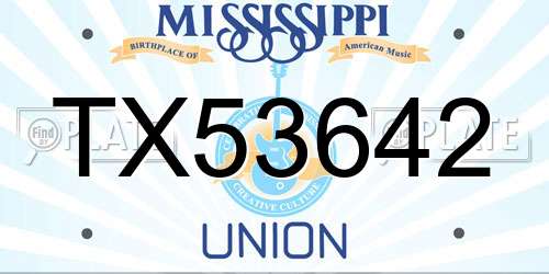 TX53642 Mississippi License Plate
