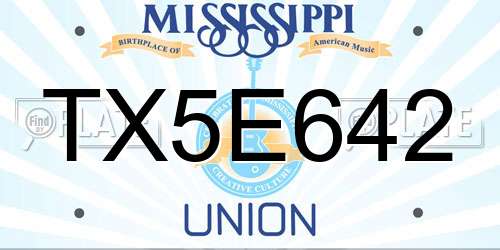 TX5E642 Mississippi License Plate
