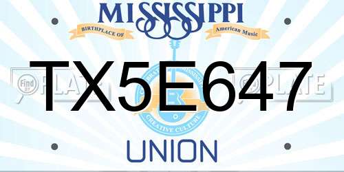 TX5E647 Mississippi License Plate