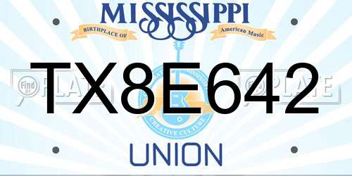 TX8E642 Mississippi License Plate