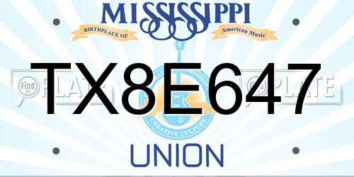 TX8E647 Mississippi License Plate