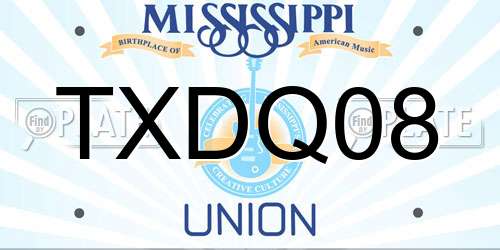 TXDQ08 Mississippi License Plate