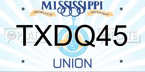 TXDQ45 Mississippi License Plate