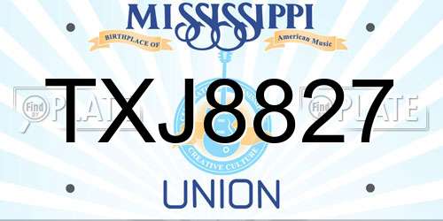 TXJ8827 Mississippi License Plate