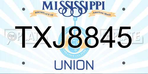 TXJ8845 Mississippi License Plate