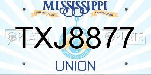 TXJ8877 Mississippi License Plate