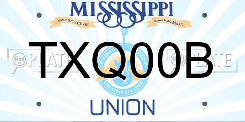 TXQ00B Mississippi License Plate