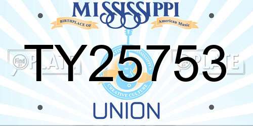 TY25753 Mississippi License Plate