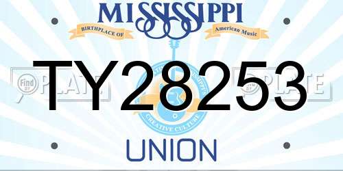 TY28253 Mississippi License Plate