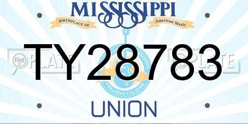 TY28783 Mississippi License Plate