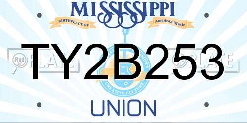 TY2B253 Mississippi License Plate