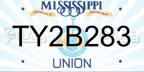 TY2B283 Mississippi License Plate