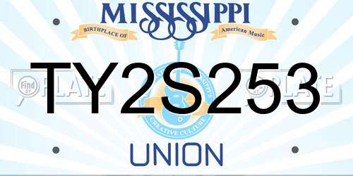 TY2S253 Mississippi License Plate