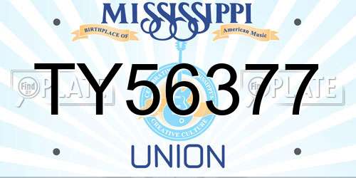 TY56377 Mississippi License Plate