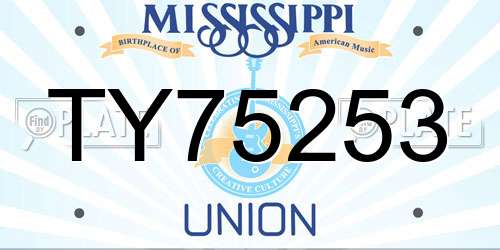 TY75253 Mississippi License Plate