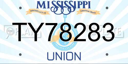 TY78283 Mississippi License Plate